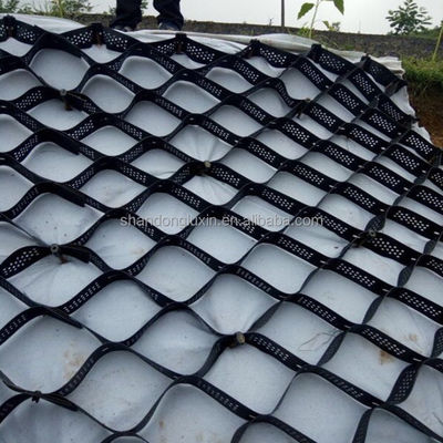 Black Earthwork Products Hdpe Geocel for Smooth Geocel Gravel Driveway Paving Grid