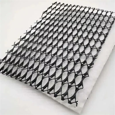 3D Composite Drainage Net for Landfill Roaded Drainage Width 1-4M Modern Design Directly
