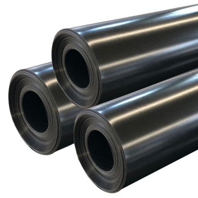 Modern Design Anti-Seepage Geomembrane Fish Pond Liner 0.5mm 1mm with Tear Resistance
