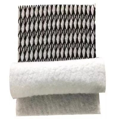 HDPE Mesh 3D Composite Drainage Composite Geo Net Geonet for Durable Drainage Solution