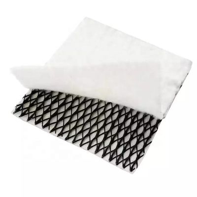 HDPE Mesh 3D Composite Drainage Composite Geo Net Geonet for Durable Drainage Solution