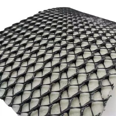 HDPE Mesh 3D Composite Drainage Composite Geo Net Geonet for Durable Drainage Solution