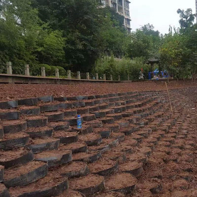330mm-1000mm Welding Distance Geocell Ground Grid Paver for Honeycomb Gravel Driveway
