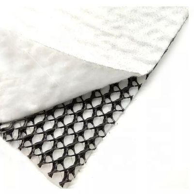 HDPE Mesh 3D Composite Drainage Composite Geo Net Geonet Black White for Your Needs