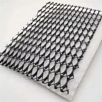HDPE Mesh 3D Composite Drainage Composite Geo Net Geonet Black White for Your Needs