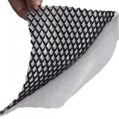Rapid Construction Geonet Geotextile Composite Drainage Net for Artificial Turf Grass