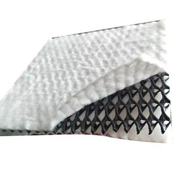 Rapid Construction Geonet Geotextile Composite Drainage Net for Artificial Turf Grass