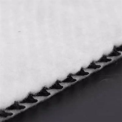 Geocomposite Drain 3D Composite Drainage Geonet with CE/ISO9001/ISO14001 Certificate