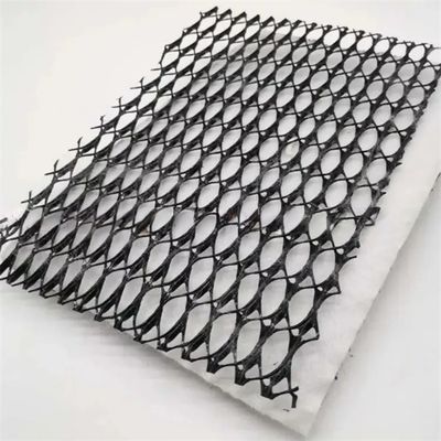 2m-4m Width Hdpe 3D Tri-Planar Composite Drainage Net for Total Project Solutions