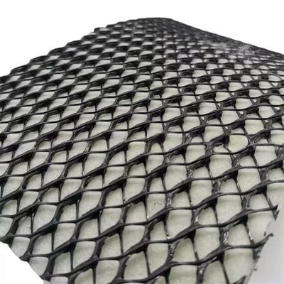 2m-4m Width Hdpe 3D Tri-Planar Composite Drainage Net for Total Project Solutions