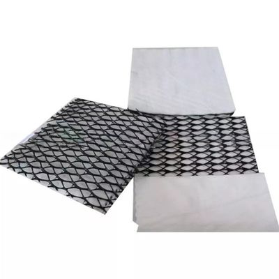 2m-4m Width Hdpe 3D Tri-Planar Composite Drainage Net for Total Project Solutions