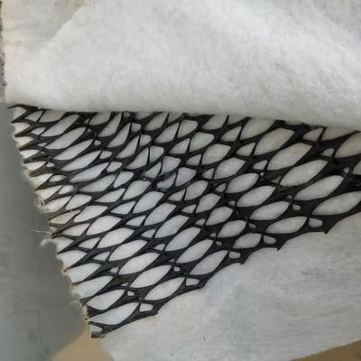 Width 2m-4m Composite Geotextile Plastics Geonet Drainage Net for Project Solutions