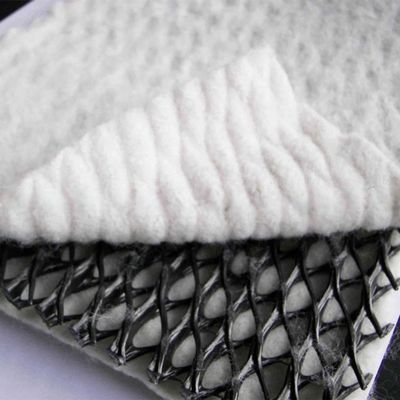 Width 2m-4m Composite Geotextile Plastics Geonet Drainage Net for Project Solutions