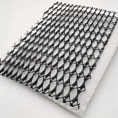 Width 2m-4m Composite Geotextile Plastics Geonet Drainage Net for Project Solutions