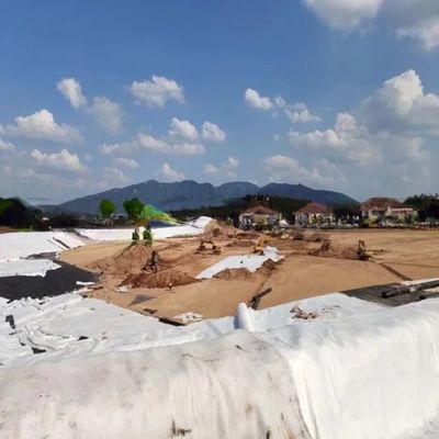 Width 2m-4m Composite Geotextile Plastics Geonet Drainage Net for Project Solutions