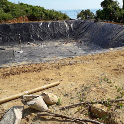 Project Solution Capability HDPE Geomembrane for Fish Farm Pond Liner 1mm Thickness