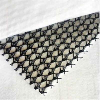 Geocomposite Drainage GEONET Composite Drain Net with CE/ISO9001/ISO14001 Certification