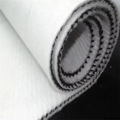 Hdpe Plastic 3d Triplanar Composite Drainage Net Network Geonet for Customized Length