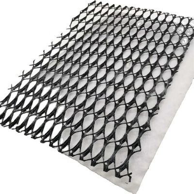 Hdpe Plastic 3d Triplanar Composite Drainage Net Network Geonet for Customized Length