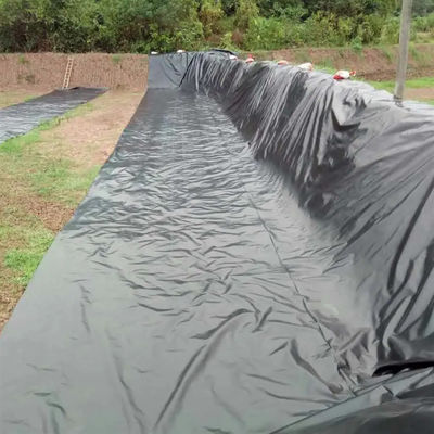 Double Smooth HDPE Geomembrane Sheet for Pond Waterproofing Liners Width 1m-8m