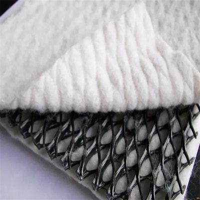 Hdpe Plastic 3d Triplanar Composite Drainage Net Network Geonet for Customized Length