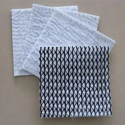 Hdpe Plastic 3d Triplanar Composite Drainage Net Network Geonet for Customized Length