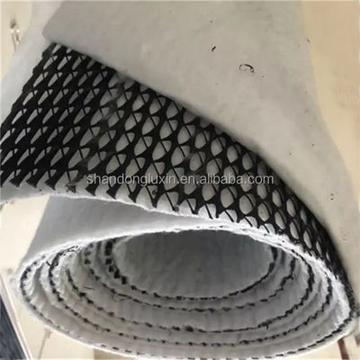 3D Composite Drainage Network Density Polyethylene Plastic for Sports Grounds and Landfill