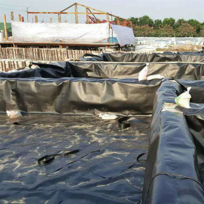 Double Smooth HDPE Geomembrane for Fish Farming Aquaculture Pond Liners and Dam Liner