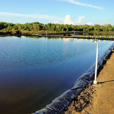 High Density Polyethylene Fish Pond Rubber Lining with Customizable Thickness