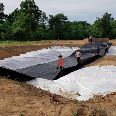 High Density Polyethylene Fish Pond Rubber Lining with Customizable Thickness