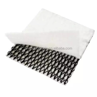 density Polyethylene Plastic Road Base Geonet 3D Composite Drainage Geonet Compound Net Length 50m
