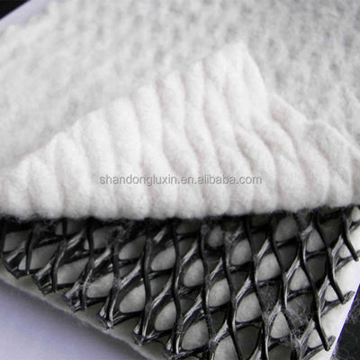Length 50m Geocomposite Drainage Sheet 3d Composite Drainage Net 3d Geonet for T/T Payment