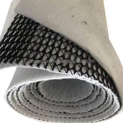 Length 50m Geocomposite Drainage Sheet 3d Composite Drainage Net 3d Geonet for T/T Payment