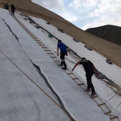 Drainage Roads with density Polyethylene Plastic Geonet Mesh and Vegetative Cover