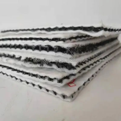HDPE Mesh 3D Composite Drainage Composite Geo Net Geonet for Reservoirs Length 100m
