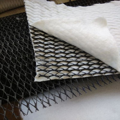 HDPE Mesh 3D Composite Drainage Composite Geo Net Geonet for Reservoirs Length 100m