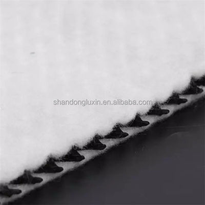 Polyethylene Net Made of Geotextile and Geonet 3D Composite Drainage Geonet