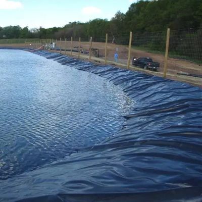 Geomembranes 1mm 2mm Waterproof Tank Dam Lining Swim Pool Fish Pond Farm Liner HDPE