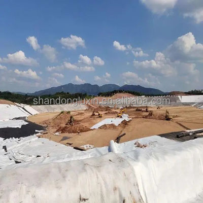density Polyethylene Plastic Geotextile and Geonet 3D Composite Drainage Net Ideal