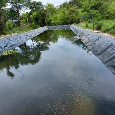 Sample Provided HDPE Geomembrane for Lake Tank Dam Lining Swim Pool Fish Pond Farm