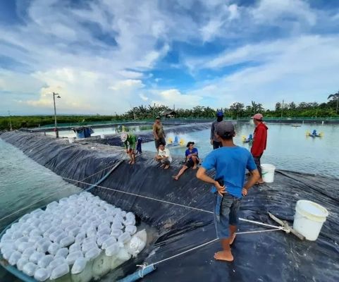 Sample Provided HDPE Geomembrane for Lake Tank Dam Lining Swim Pool Fish Pond Farm