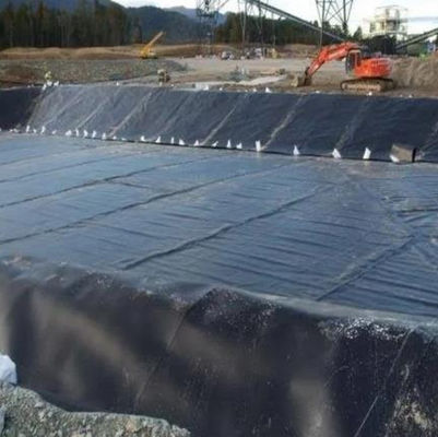 Sample Provided HDPE Geomembrane for Lake Tank Dam Lining Swim Pool Fish Pond Farm