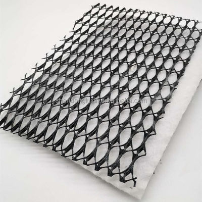Good Water Permeability Simple Construction 3D Composite Drainage Geonet for Drainage