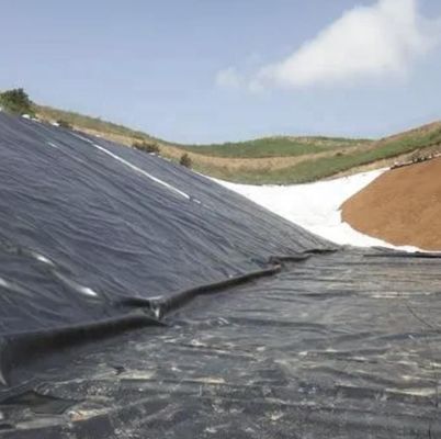 Green Geomembrane for Waterproof Artificial Lake Tank Dam Lining HDPE Customized