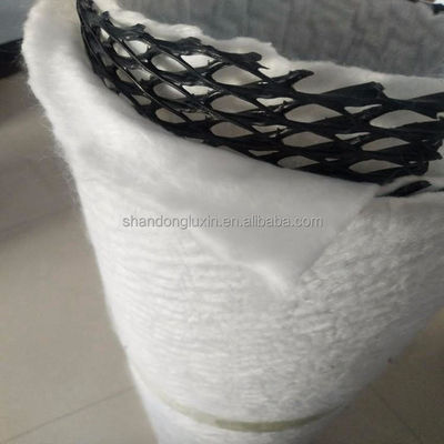 Payment T/T 3D Composite Drainage Geonet for Drainage in Office Building Construction