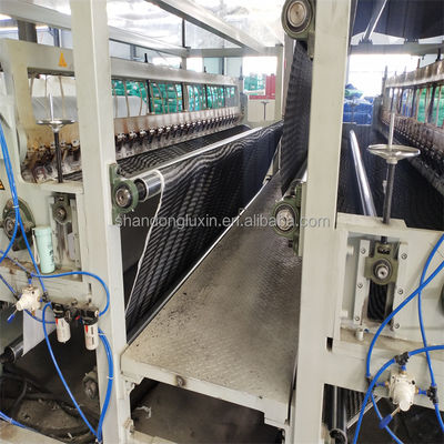 50m/100m Length HDPE Mesh 3D Composite Drainage Composite Geo Net in Black White