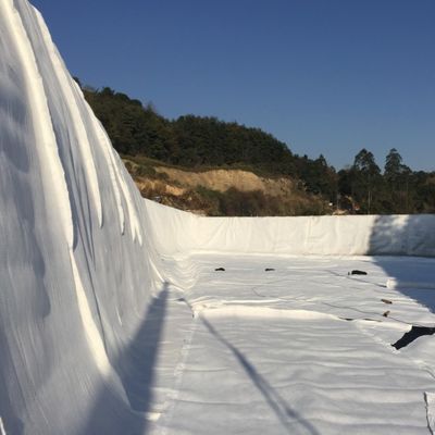 50m/100m Length HDPE Mesh 3D Composite Drainage Composite Geo Net in Black White