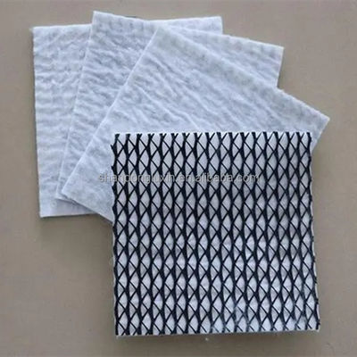 50m/100m Length HDPE Mesh 3D Composite Drainage Composite Geo Net in Black White