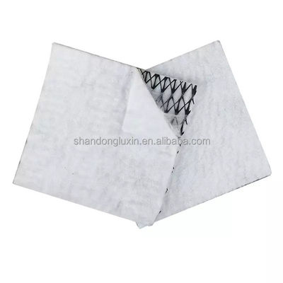 50m/100m Length HDPE Mesh 3D Composite Drainage Composite Geo Net in Black White