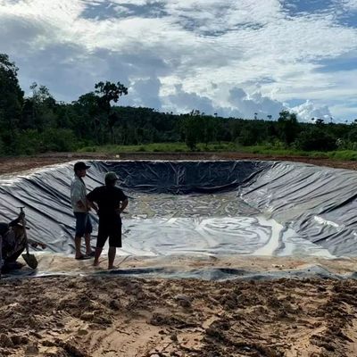 1.0mm HDPE Geomembrane for Fish Pond Width 1-6m Chemical Resistant Black Geomembrane